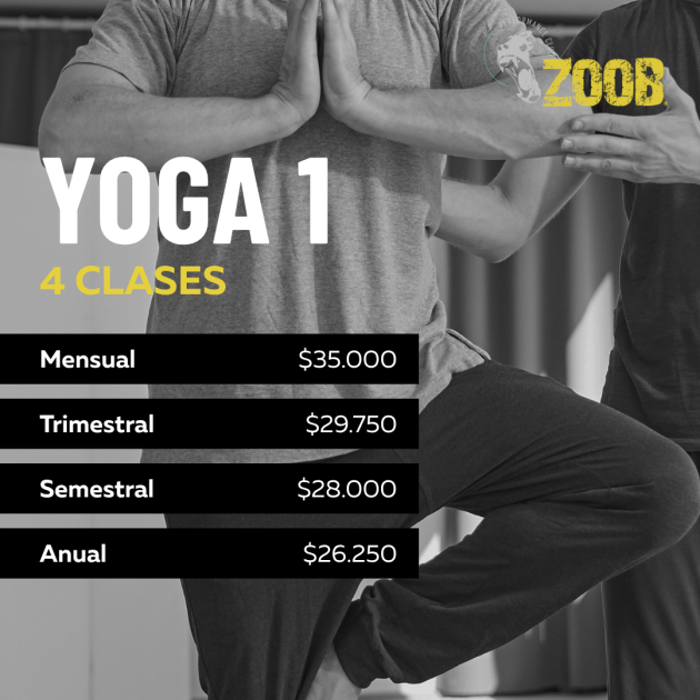 Plan Yoga 1